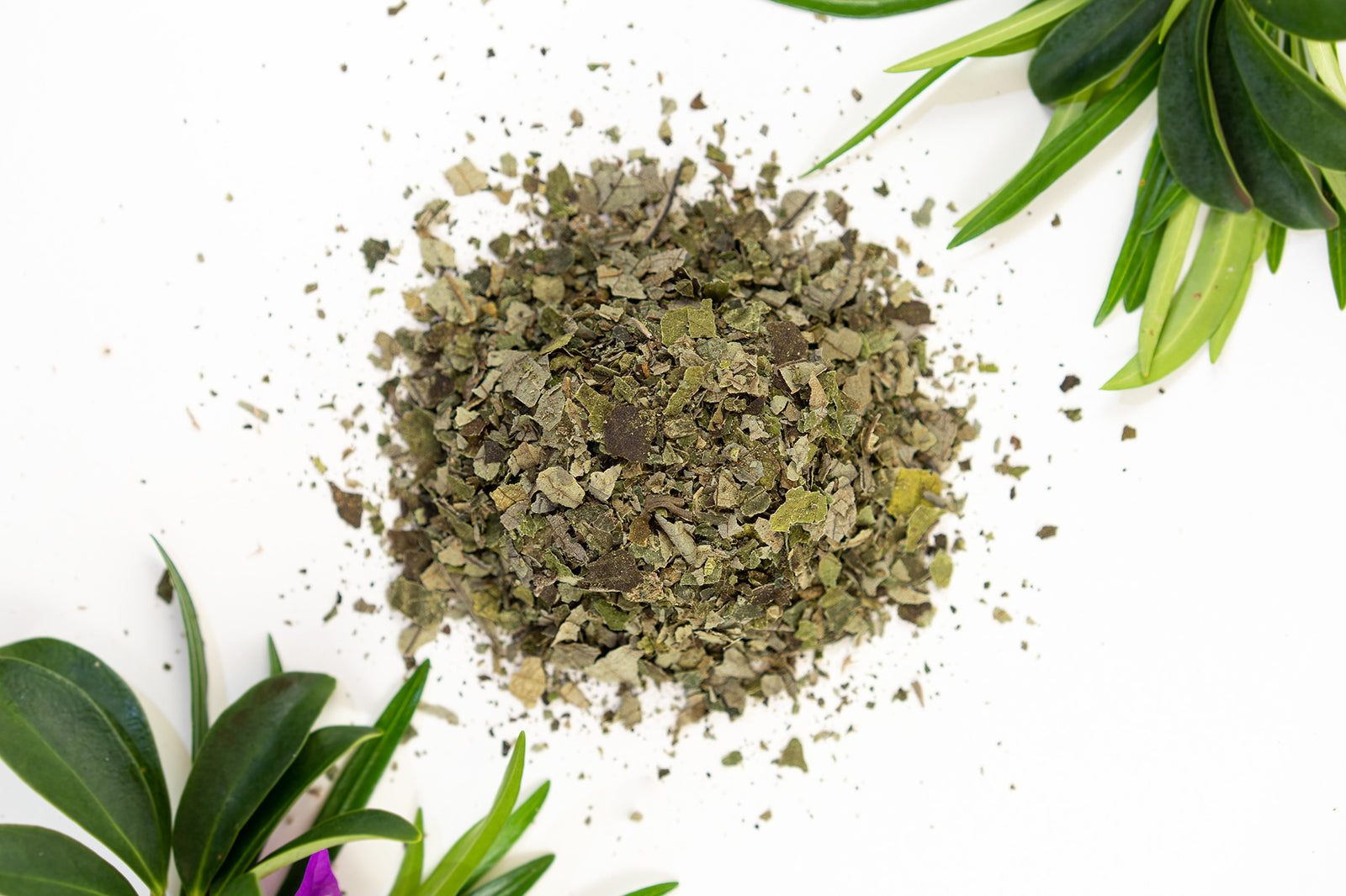 2026 Mamaki Loose Leaf Herb Tea (100% Maui Grown) • Organically Grown