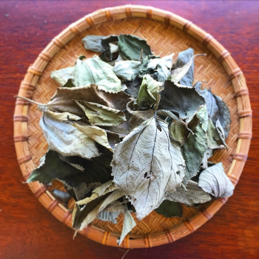 2026 Mamaki Loose Leaf Herb Tea (100% Maui Grown) • Organic 1lb Size