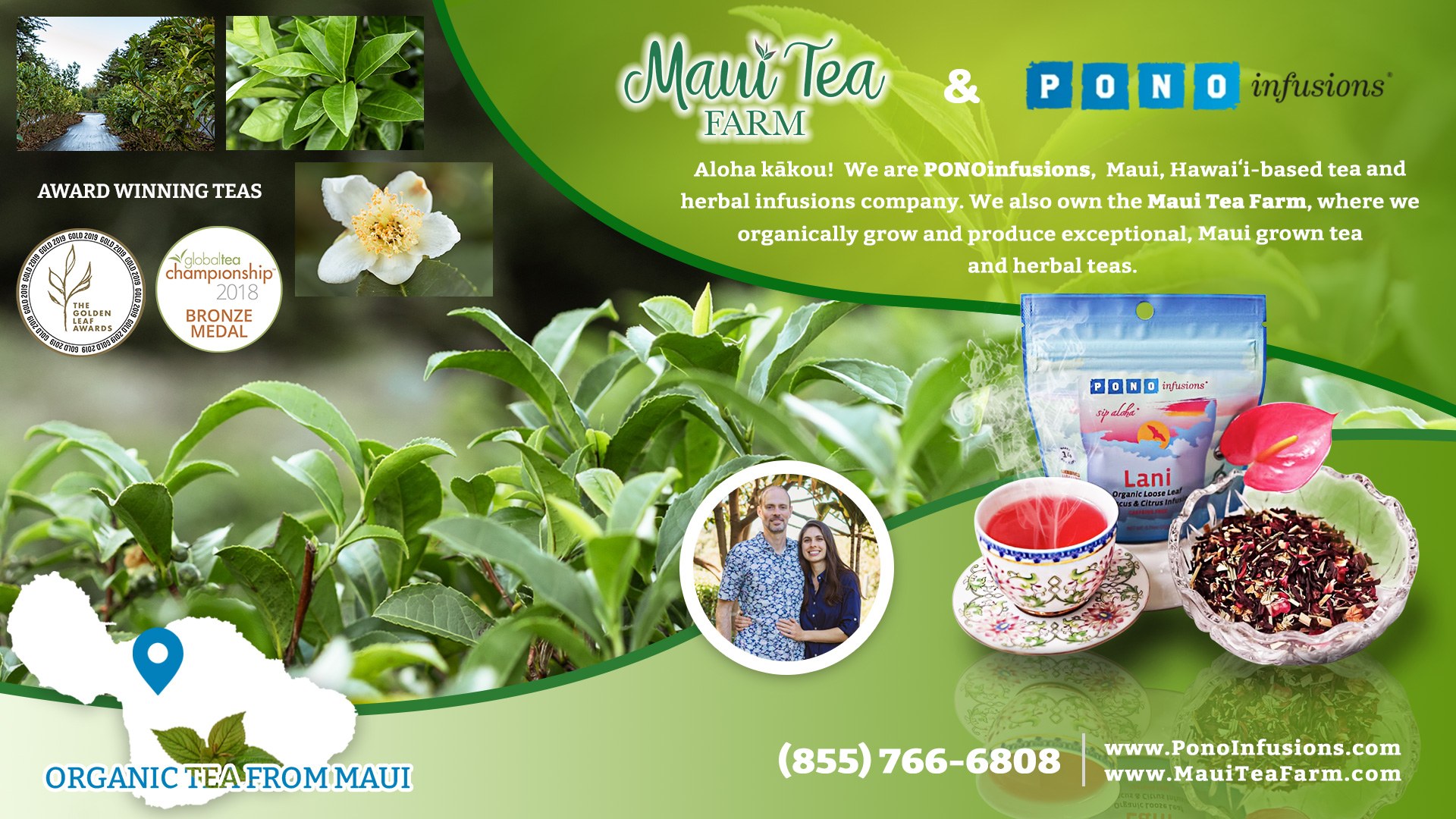 Maui Tea Farm Pono Infusions Graphic
